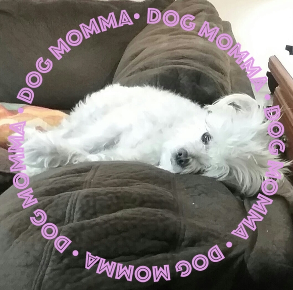 Meet your Posher, Jacqueline - Picture 1 of 1